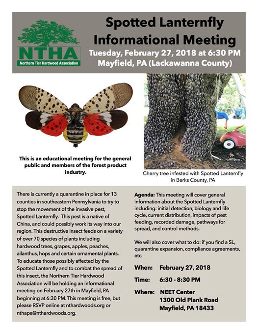 A flyer with a photo of an adult spotted lanternfly which has pink and red wings with black spots and a photo of a thick tree covered in adult spotted lanternflies; with information below about an informational meeting on spotted lanternfly and the logo of the Northern Tier Hardwood Association