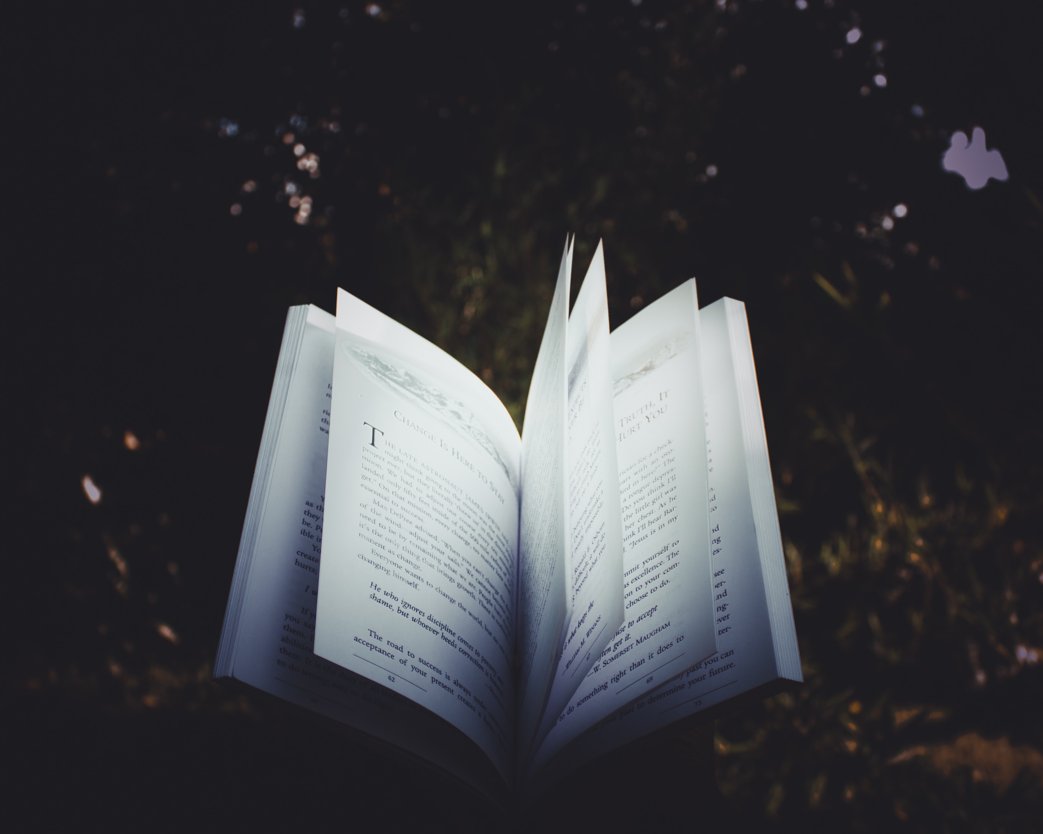 Poetry book pages fluttering, with a tree line in the background