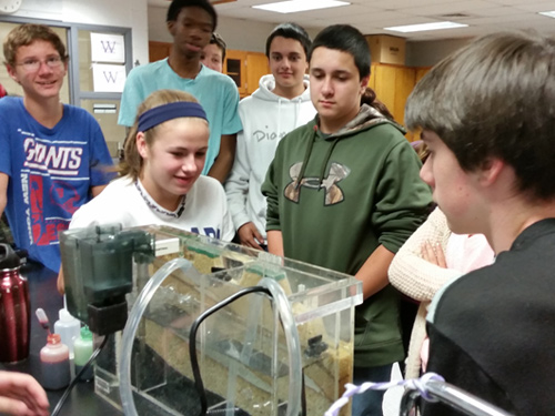 A group of students stand around a groundwater model in a classroom