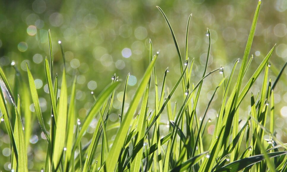 New Soil Resource Available Now!