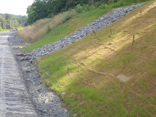 A slope next to a road with grass planted, netting over it, and gravel to reduce erosion