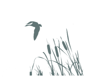 Illustrated silhouette of a bird flying over a wetland