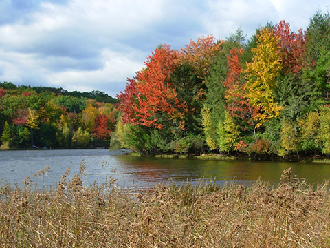 A lake with fall foliage around the shores