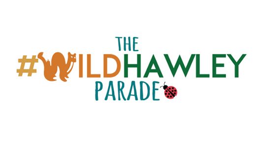 A graphic with the words "The #WildHawleyParade where the "W" is an illustrated weasel