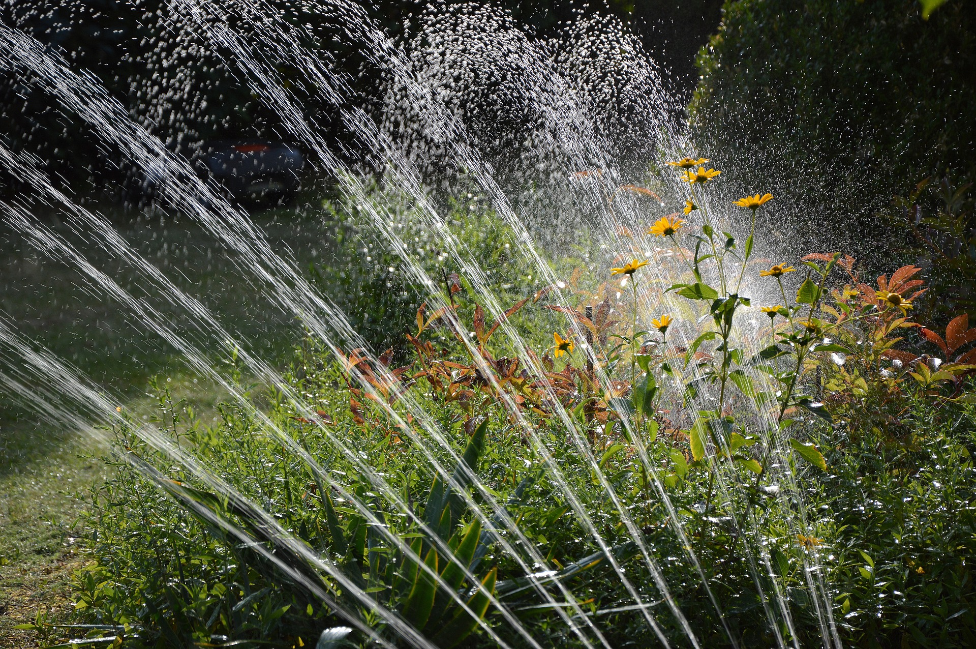 A flower garden with a sprinkler system spraying up over the plants in multiple streams