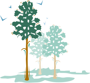 Illustration of trees. Pike county has over 120,000 acres of public lands. Trees protect your home from wind, reduce heating and cooling costs and enhance your property’s value.