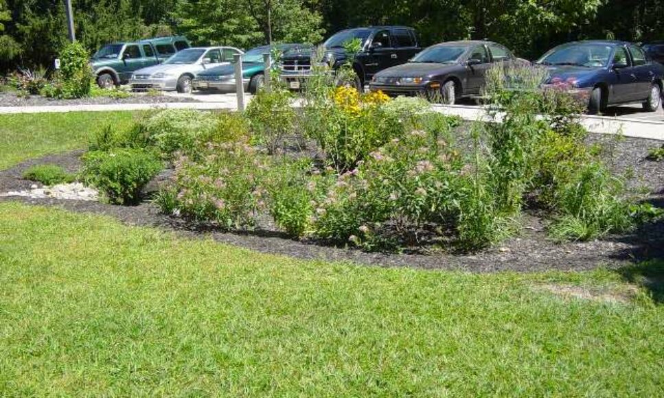 Not Just a Hole in the Ground! Visually Pleasing Stormwater Best Management Practices