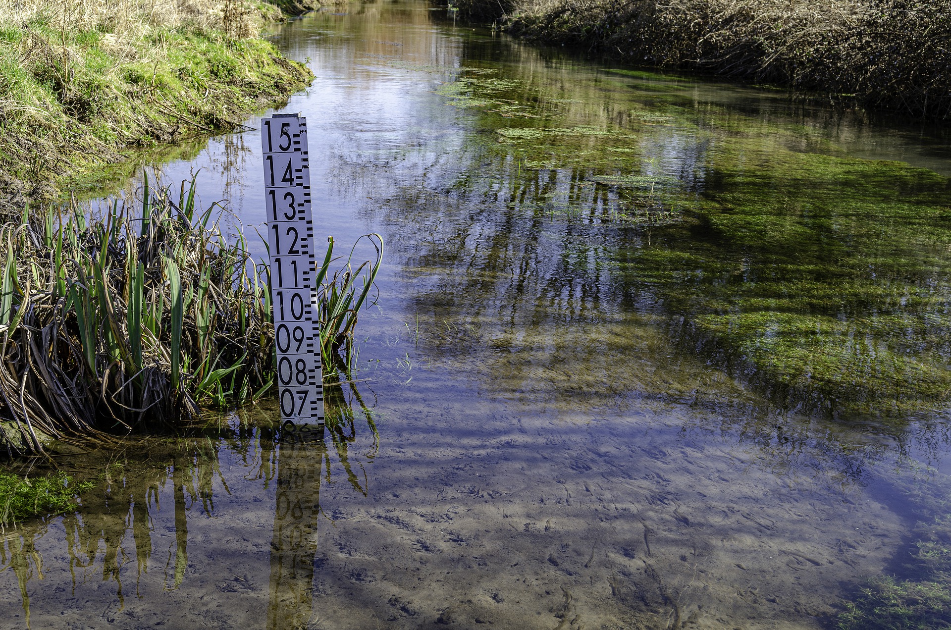 A stream with a measuring stick in it showing that it is about 6.5 inches deep