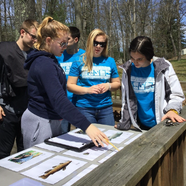 students outside standing at a table looking at pictures of different fish species