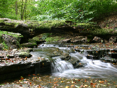 small waterfall in a stream