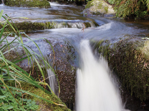 small waterfall over mossy rocks