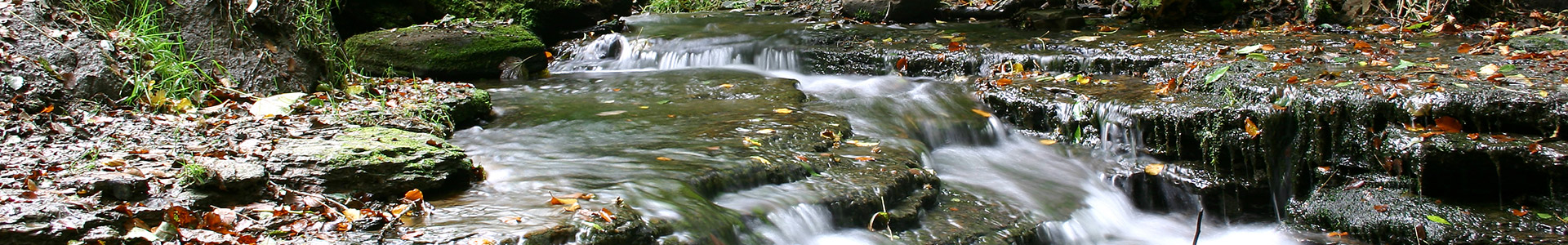 A small waterfall in a stream in the woods