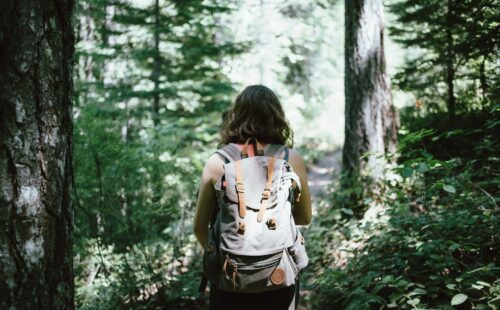 A photo of a woman from the back hiking on a path through the woods