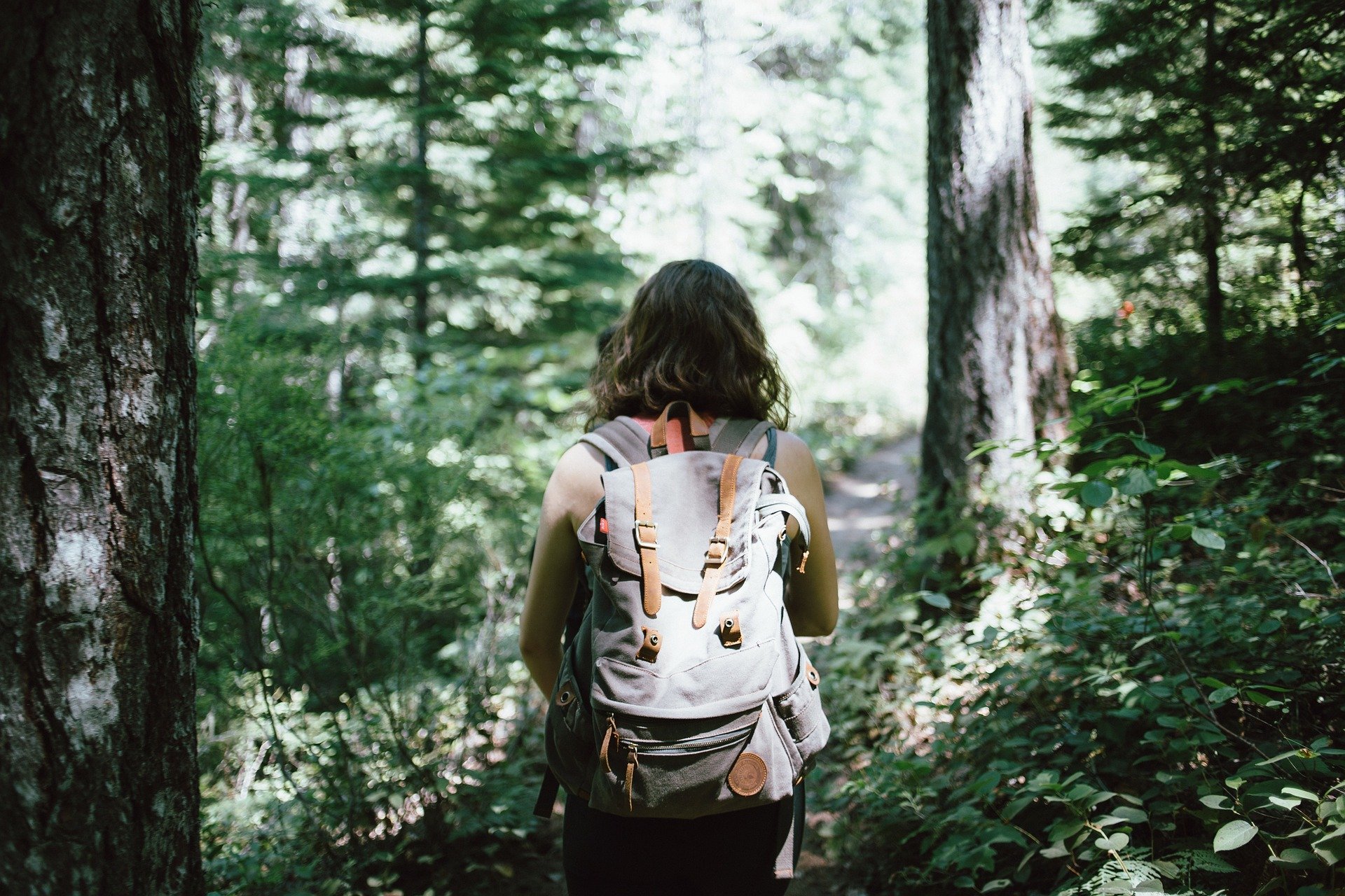 A photo of a woman from the back hiking on a path through the woods